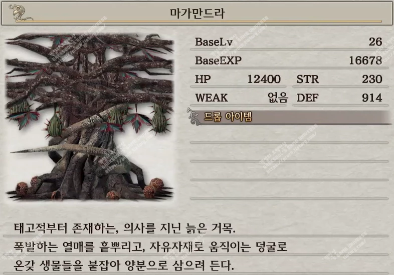 보스 마가만드라 설명