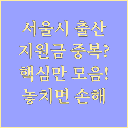 2025년 서울시 출산 지원금, 다른..