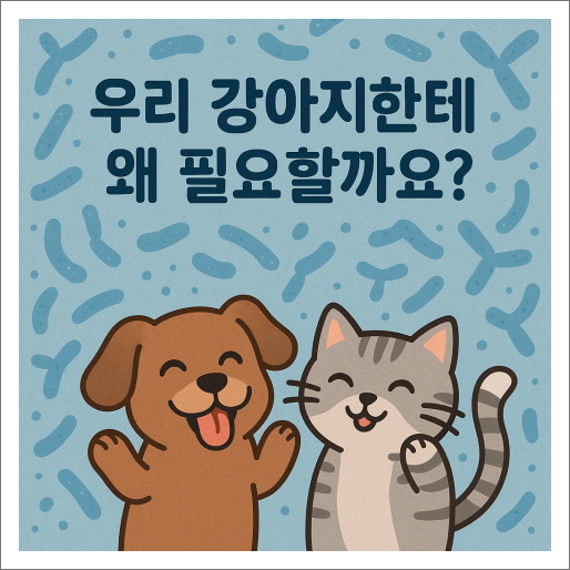 공생유산균_우리 강아지한테 왜 필요할까요?