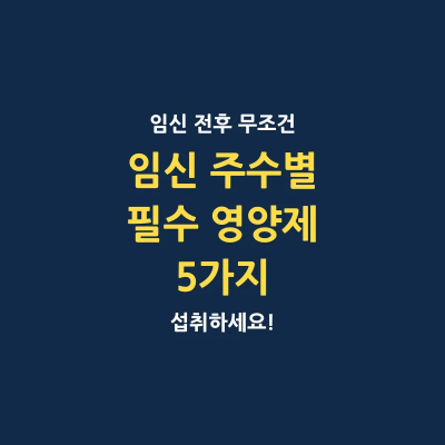 임신 주수별 필수 영양제 5가지