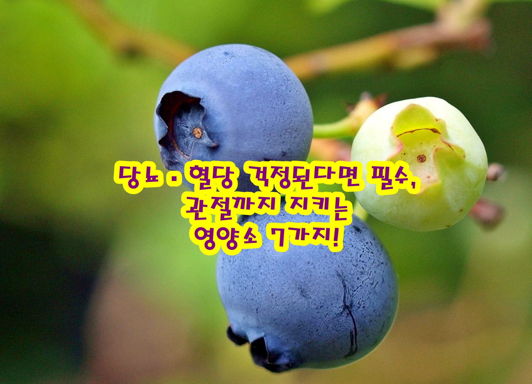 당뇨·혈당 걱정된다면 필수, 관절까지 지키는 영양소 7가지