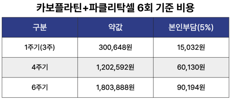 카보플라틴+파클리탁셀 6회 기준 비용