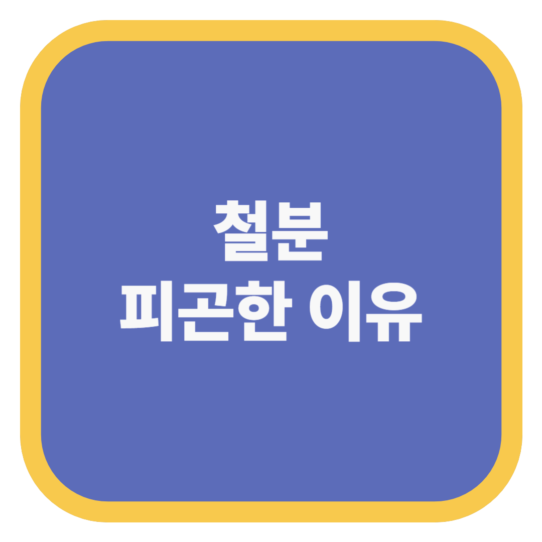 철분 피곤한 이유