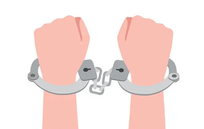구속심사포기