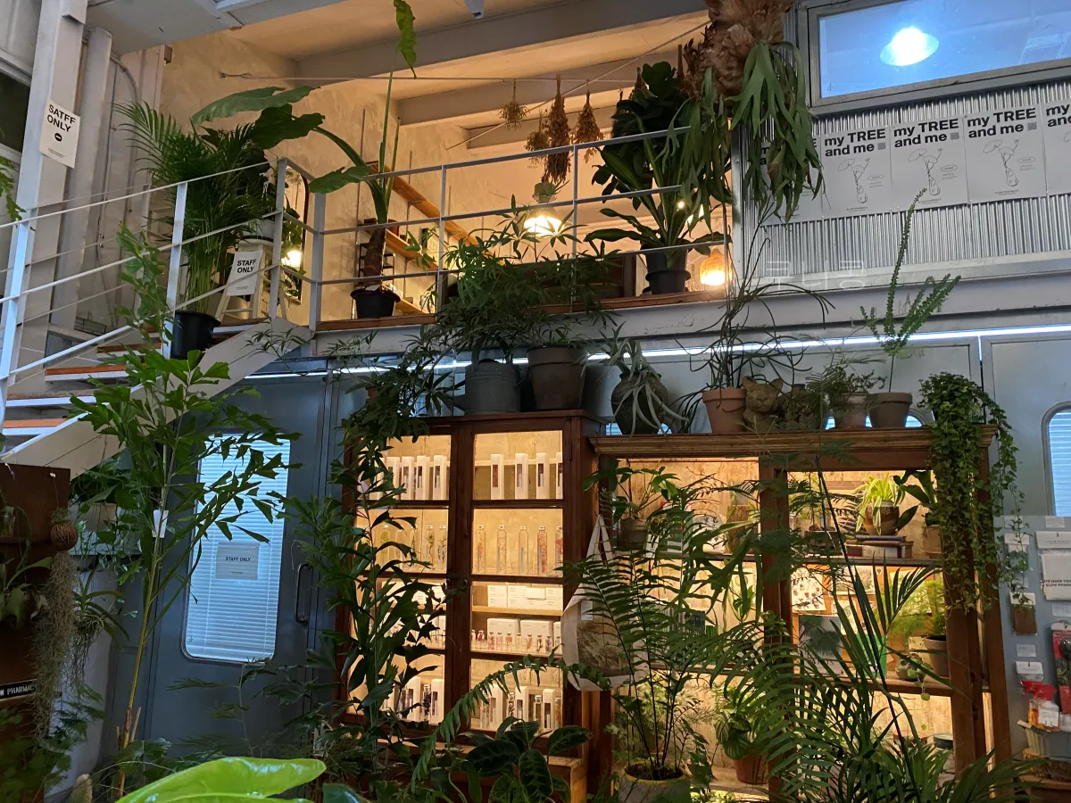 성수-놀거리-추천-식물-구경하기-좋은-가드닝샵-슬로우파마씨