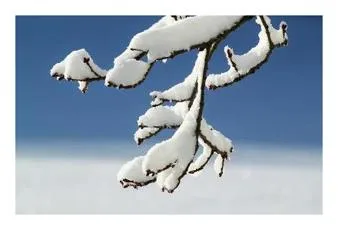 겨울에 듣기 좋은 노래