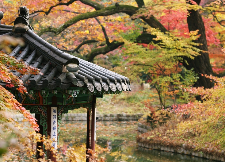 창덕궁