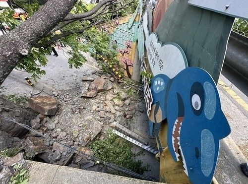 대구 남구 봉덕동 용두낙 낙석 사고, 100kg 암석이 덮친 지하차도 보행로 참변 (안전펜스 부재와 관리 책임)