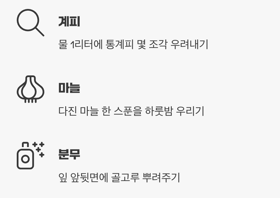 두 번째 길: 천연 기피제, 예방이 최고의 방패