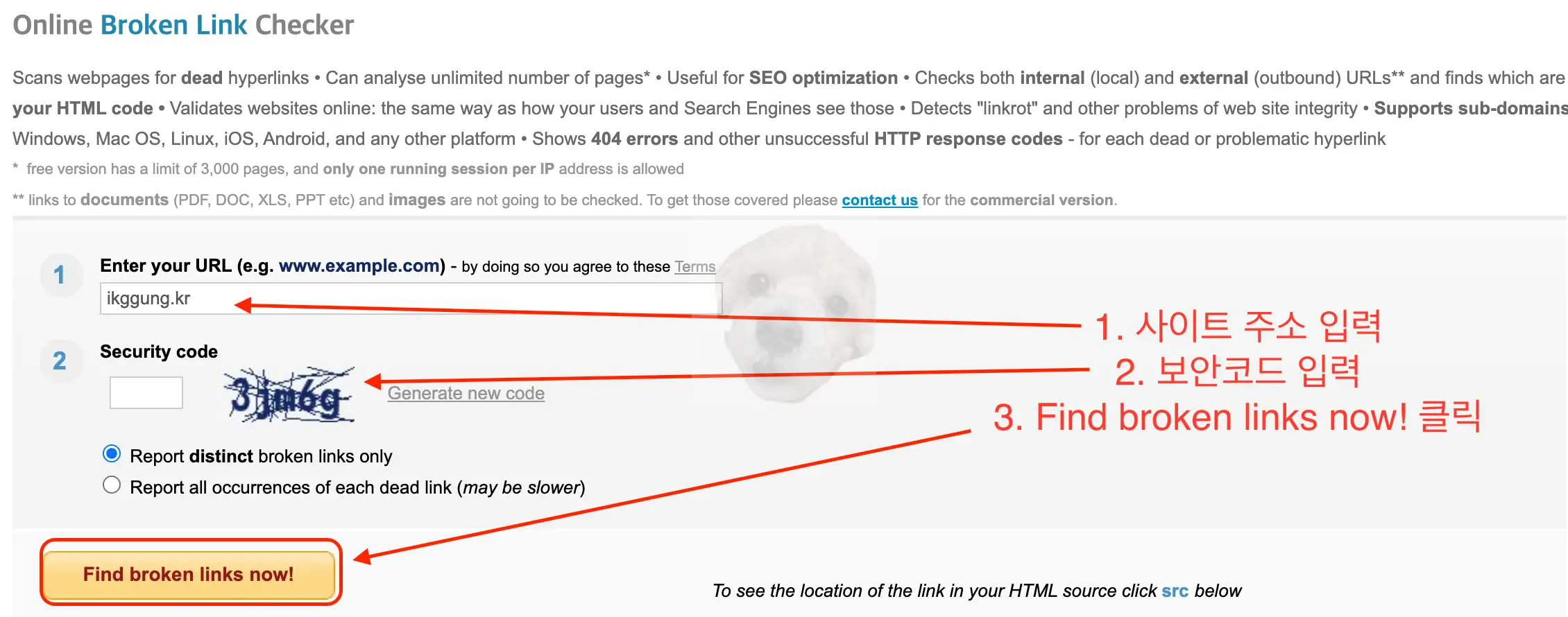 블로그 깨진 링크 찾는 사이트 화면