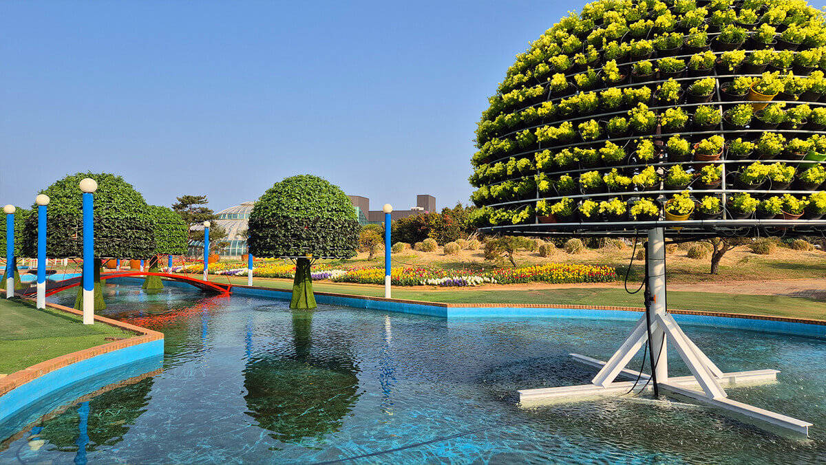 태안 튤립축제 기간 예매 입장료 개장시간 개화상황