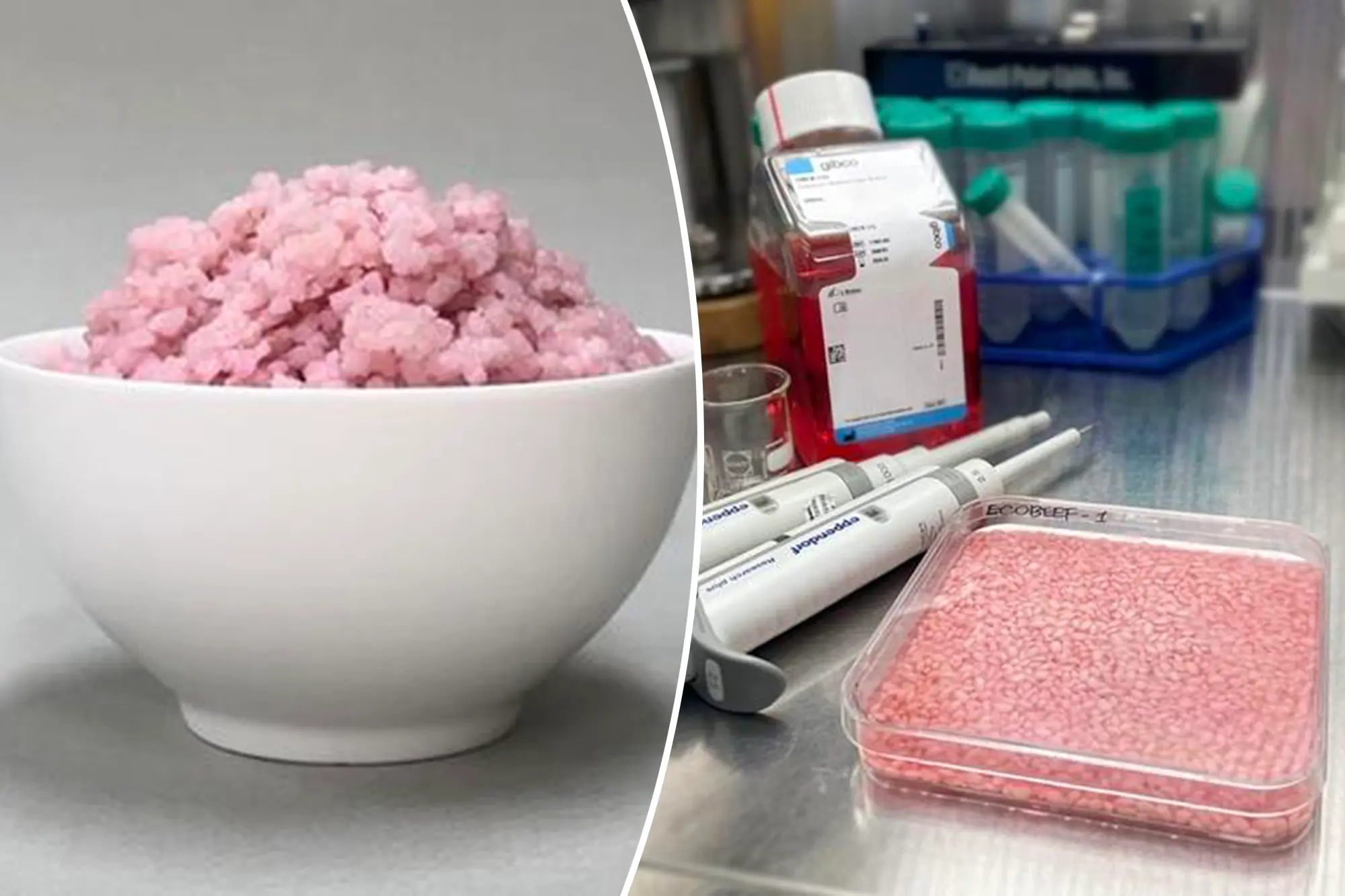 소고기가 들어간 하이브리드 쌀알