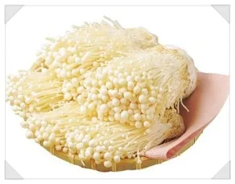 팽이버섯 효능_5