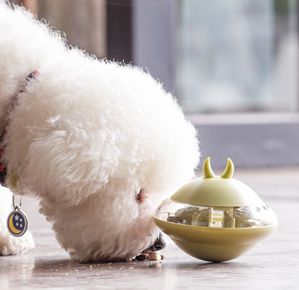 간식이 든 장난감에 간식 꺼내 먹기