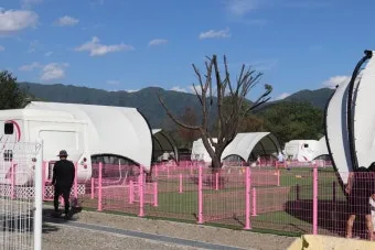 포천애견글램핑 포천 애견식당 당일치기 글램핑 해피캠핑 바베큐 바우어캠프 포천 완벽 체험_12