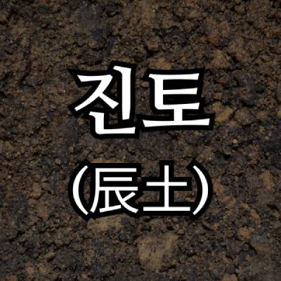 진토(辰土) 지지