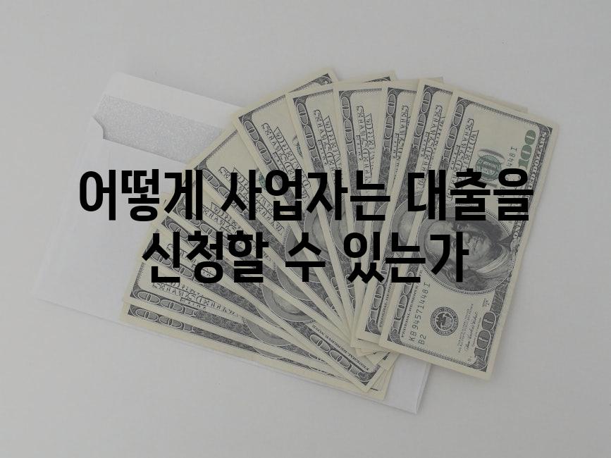 어떻게 사업자는 대출을 신청할 수 있는가