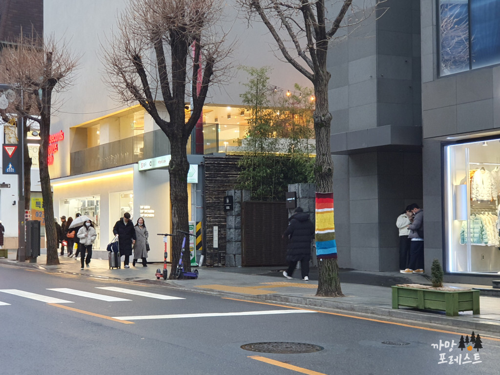 신사 메종 키츠네 거리