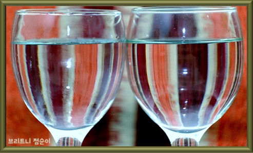 신장 건강에 좋은 음식 10가지