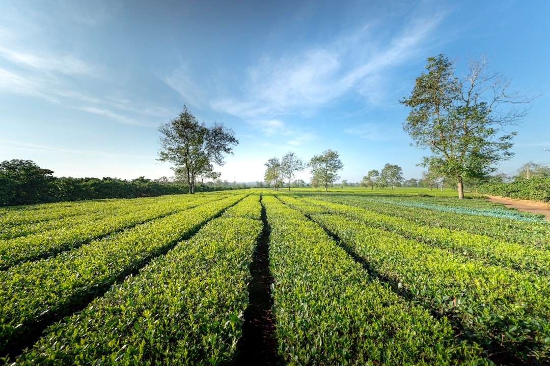농업경영체를 영어로 Agricultural Business로 추천합니다.