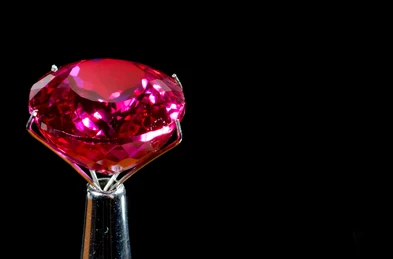 비둘기의 피 루비