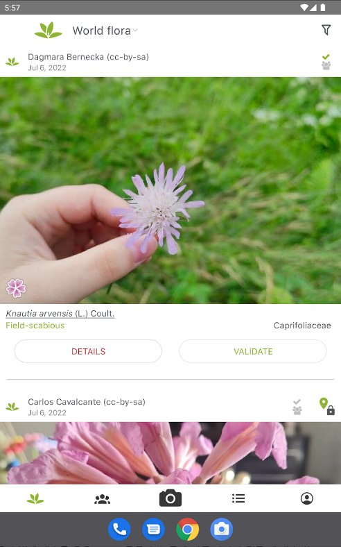 꽃 이름 찾기 어플, PlantNet Plant Identification