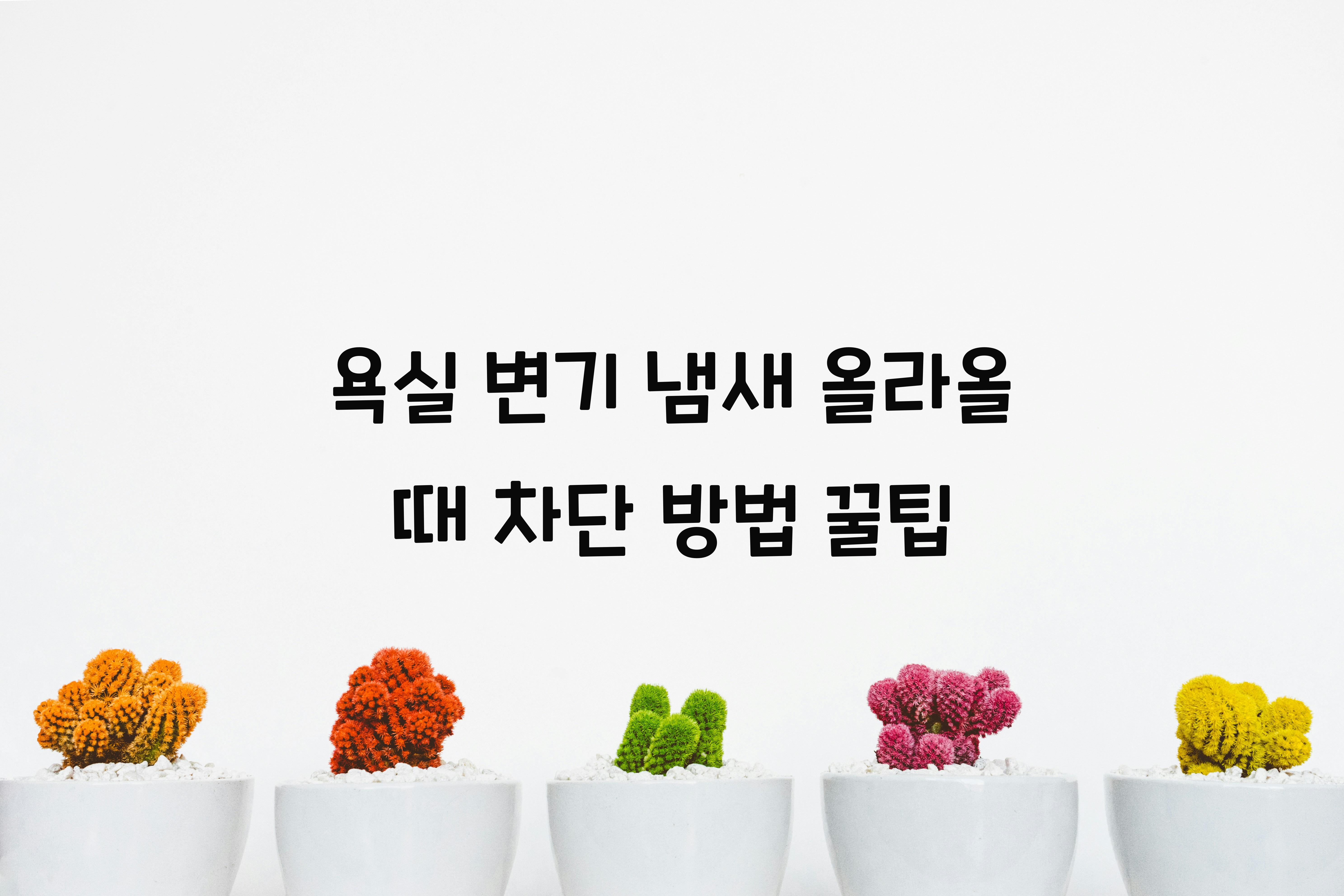 욕실 변기 냄새 올라올 때 차단 방법
