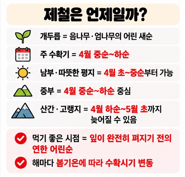 개두릅은 음나무 엄나무의 어린 새순이며 보통 4월 중순부터 하순에 수확한다는 시기 카드