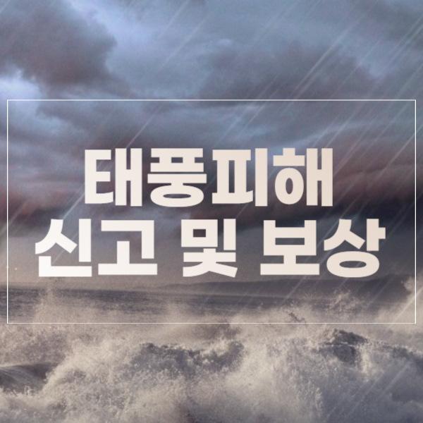 태풍카눈피해