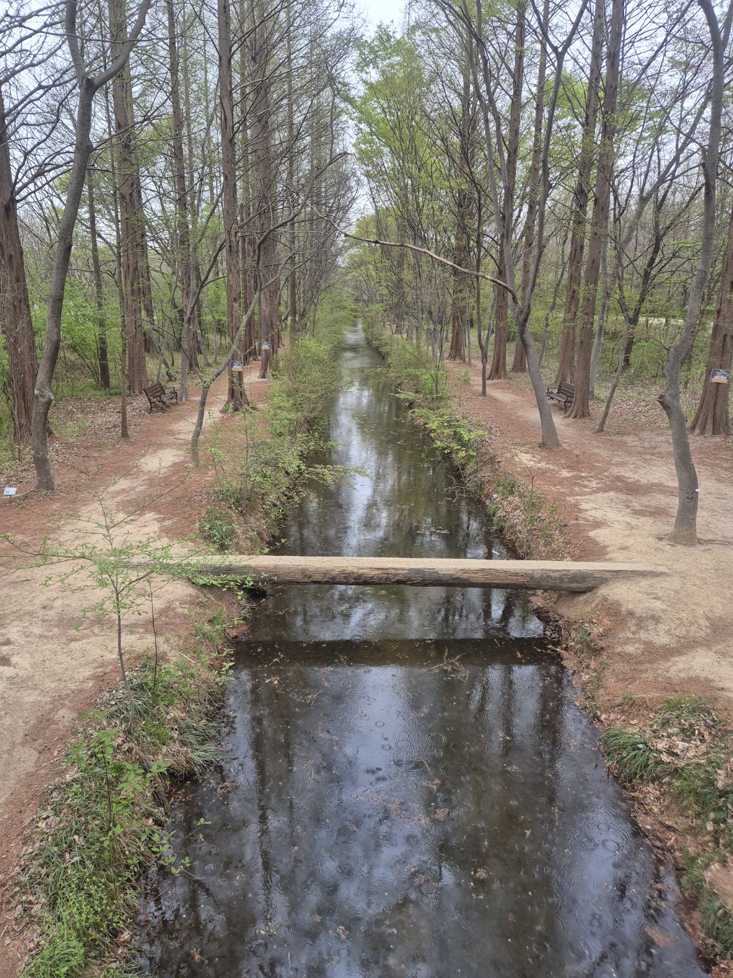 경북천년의숲 산책코스 및 호수 사진