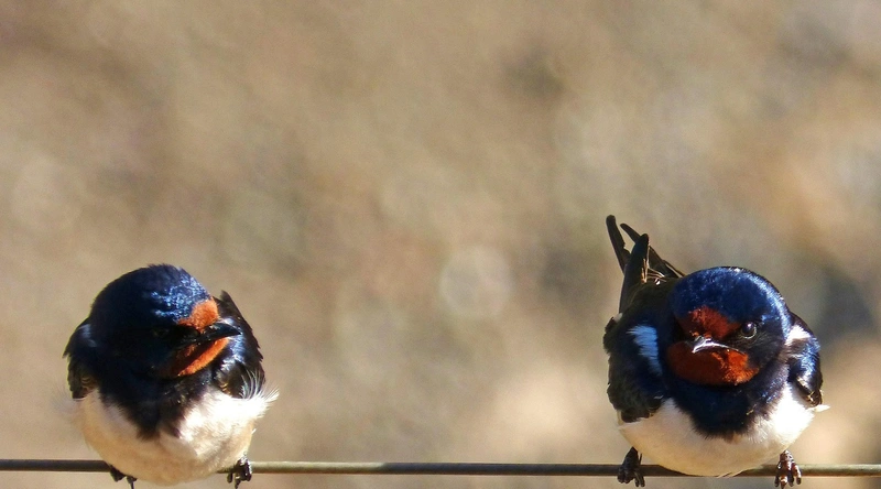 케이블 선택의 중요성