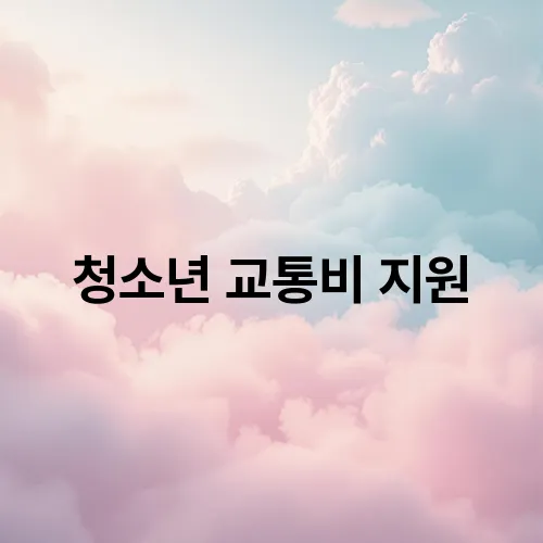 청소년 교통비 지원