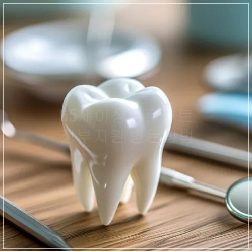 65세이상 임플란트 정부지원 신청절차3