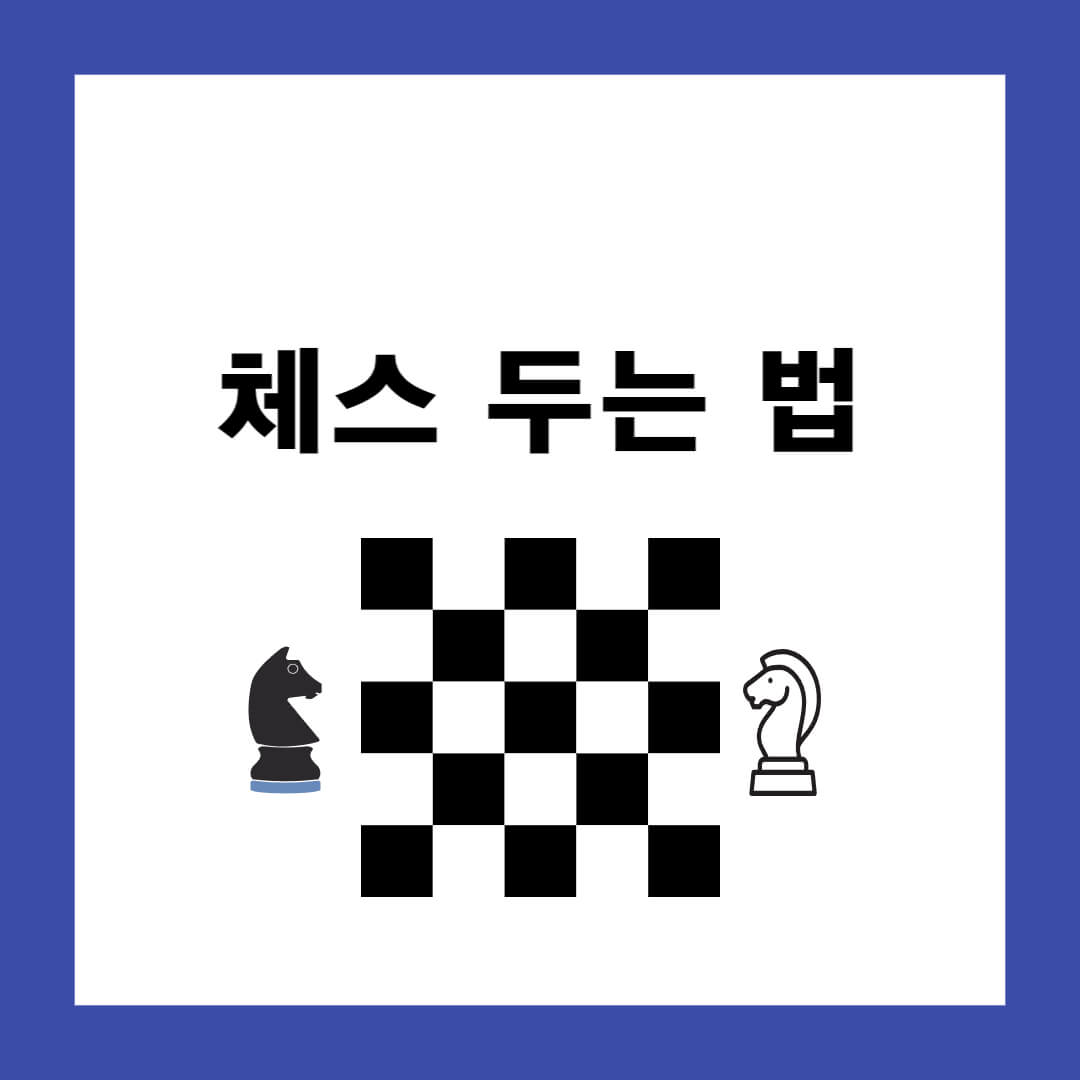 체스 두는 법