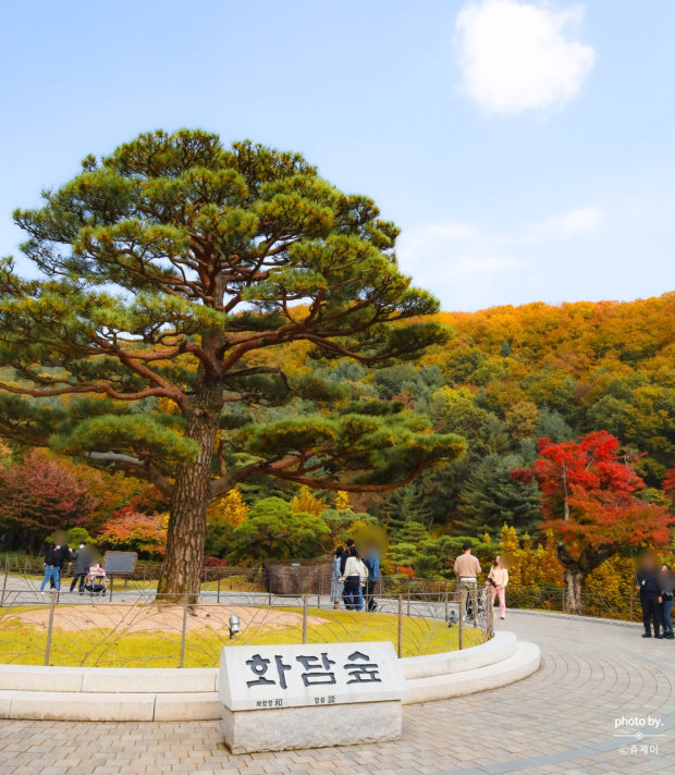 화담숲 예약 사진