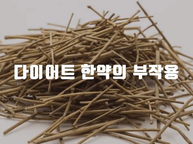 다이어트 한약 마황성분 부작용