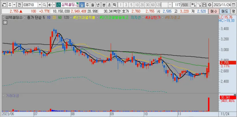 심텍홀딩스 차트
