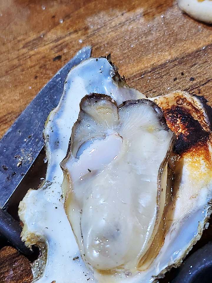 6시내고향 사천 비토섬 장작 굴구이 생굴회 조개구이 따끈따끈한 굴떡국 굴라면 자연산 생굴 전국택배 가능 맛집 오늘 방송 추천 