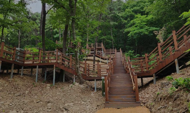 무봉산 자연휴양림 캠핑장