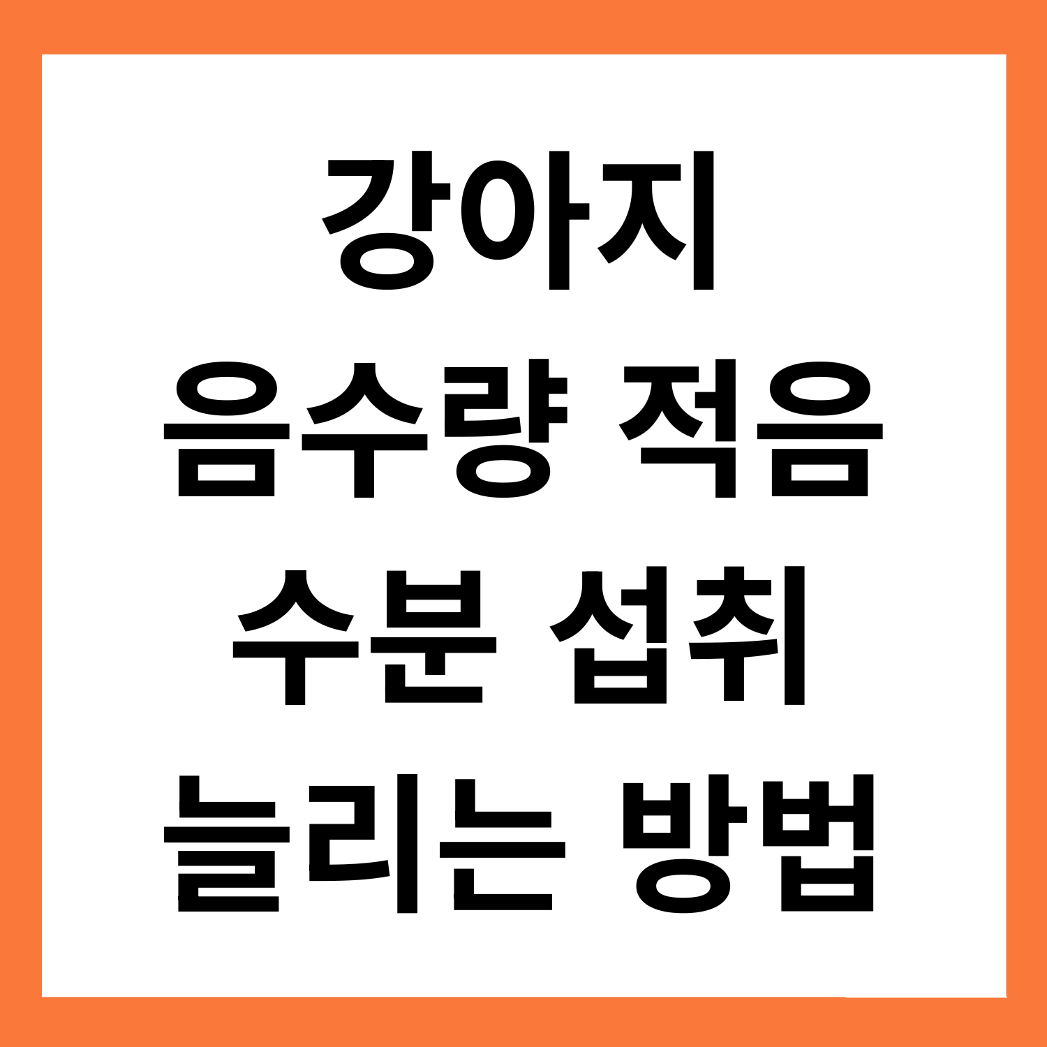 강아지가 음수량이 적어요… 수분 섭취 늘리는 5가지 방법