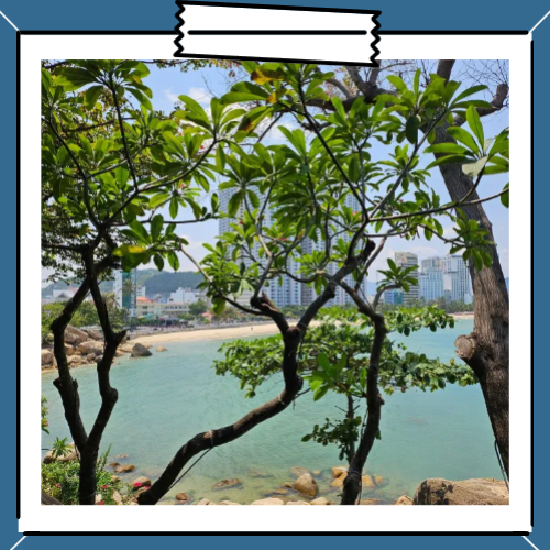 나트랑