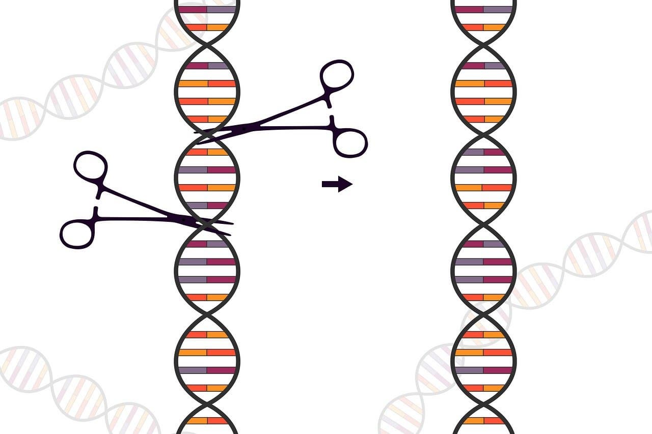crispr