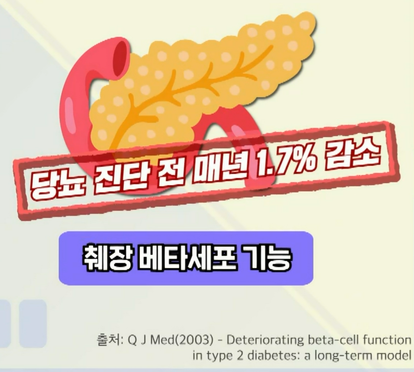 세리포리아 락세라타 효능