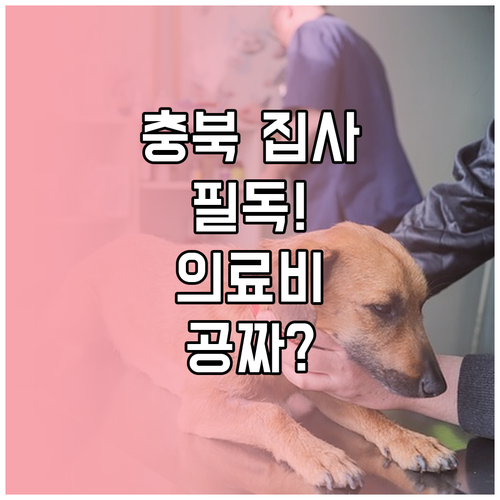 충청북도 취약계층 반려동물 의료비 지..