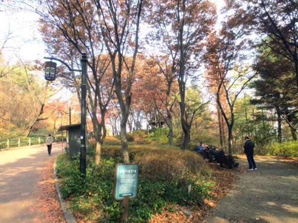 필동 쉼터에서 쉬고 있는 시민들 ⓒ박칠성