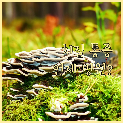 치질 통증, 종류별 차이와 지속 기간..