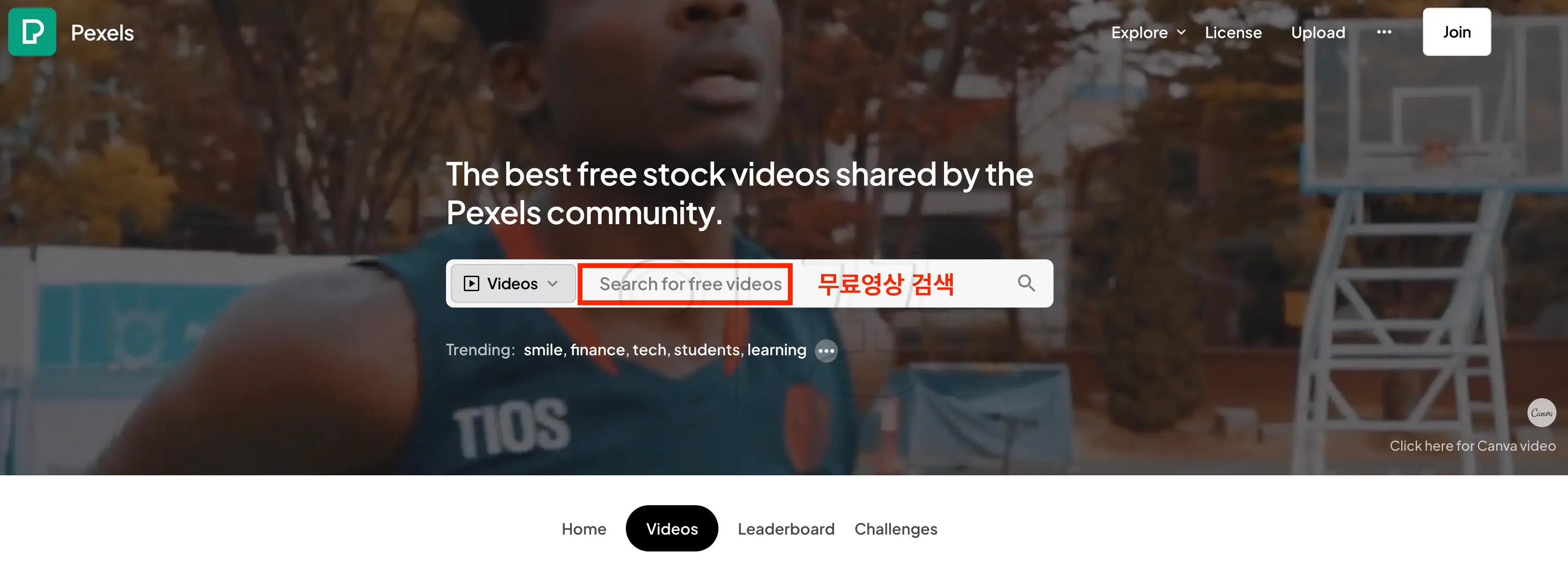 무료 동영상 소스 다운로드 사이트 픽셀스