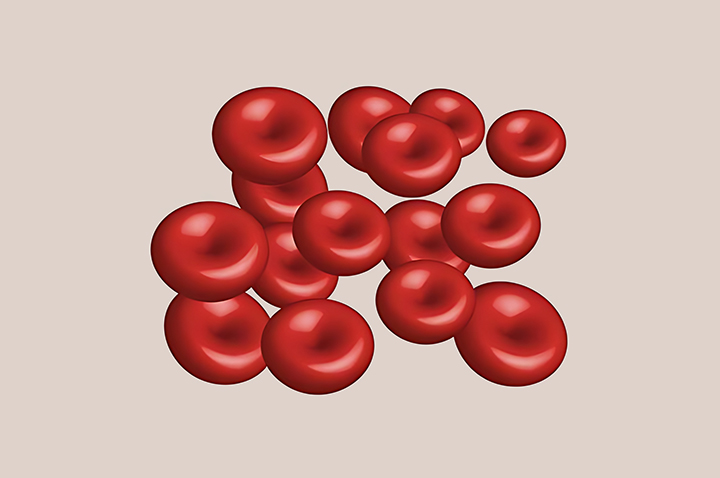 혈액-순환-촉진