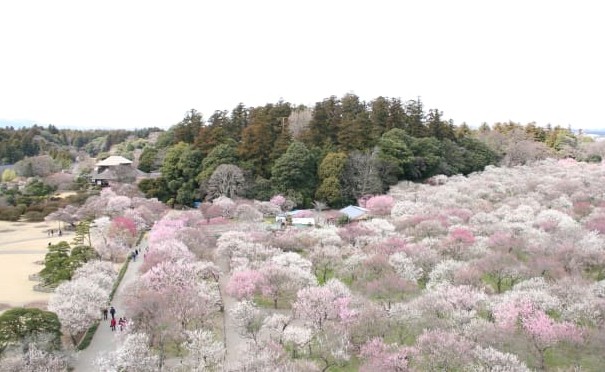 9월 일본 이바라키 날씨와 골프여행 일정 및 공항, 맛집 가이드