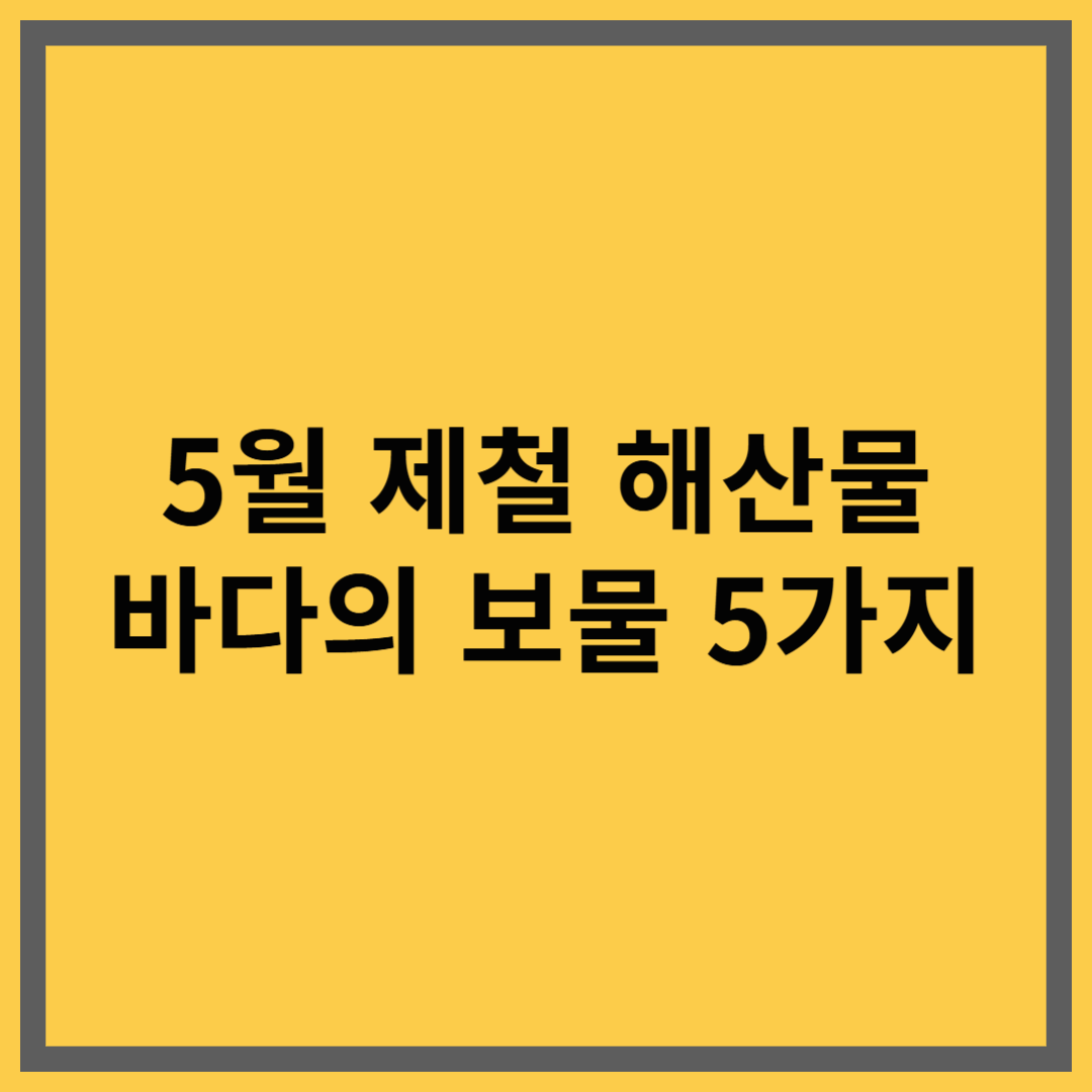🐟 5월 제철 해산물 추천|지금 먹어야 더 맛있는 바다의 보물 5가지